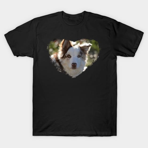 Love Border Collies T-Shirt by Whisperingpeaks
